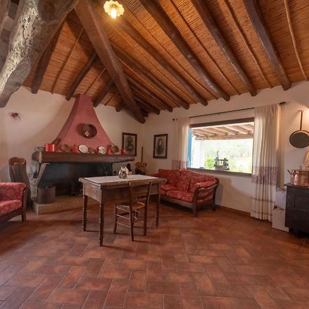 Tenuta Don Ballore Galtelli Bagian luar foto