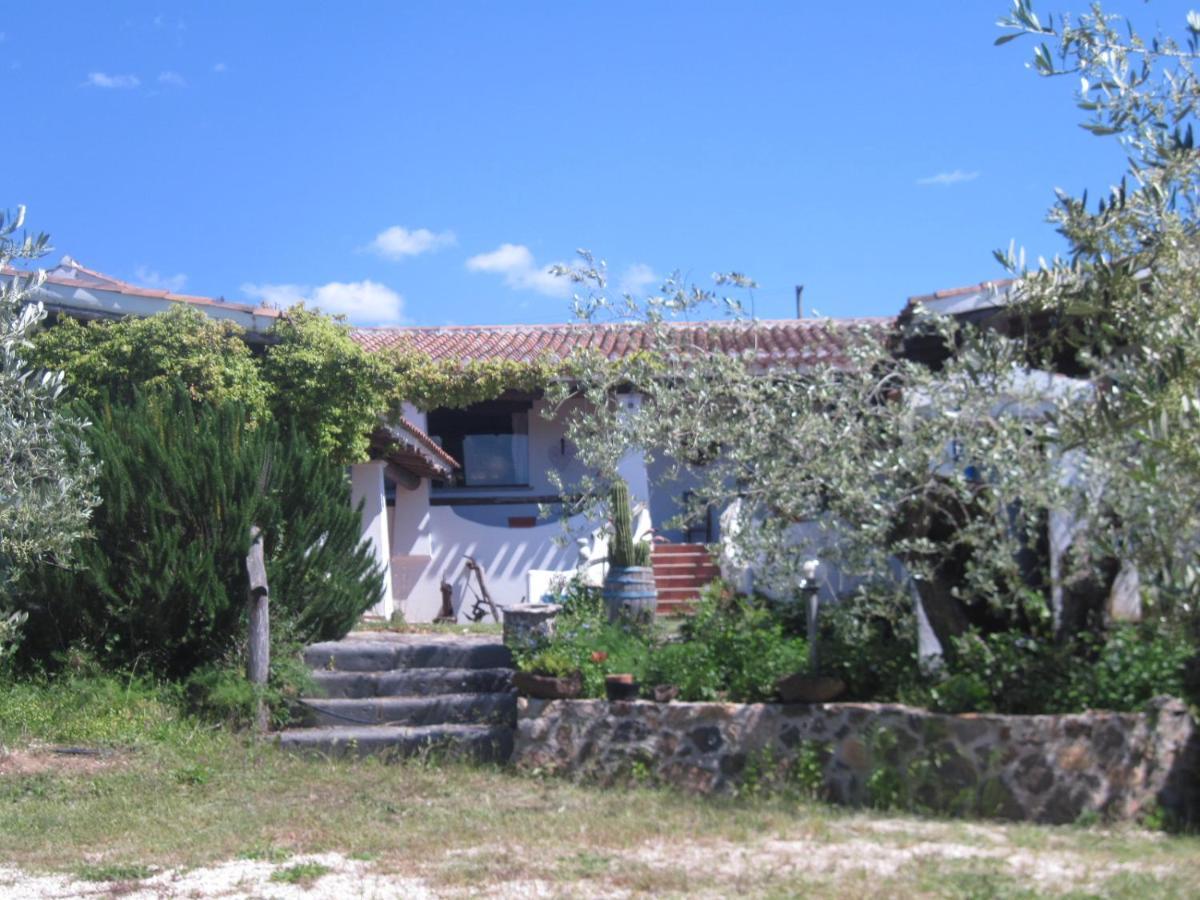 Tenuta Don Ballore Galtelli Bagian luar foto