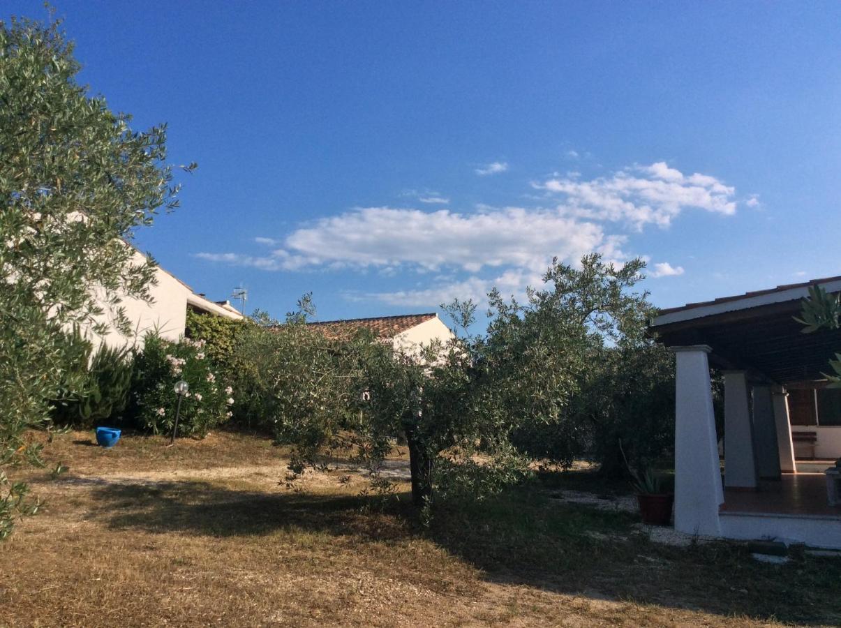 Tenuta Don Ballore Galtelli Bagian luar foto