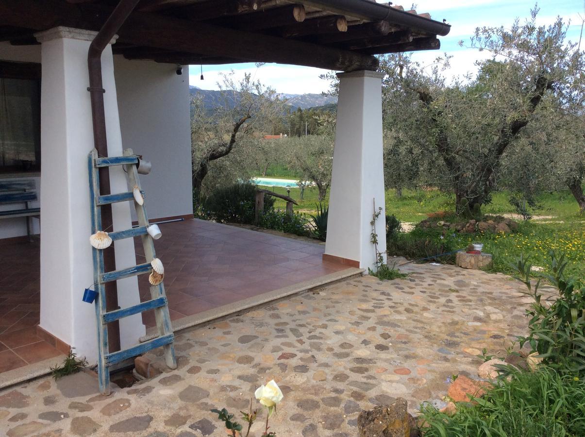 Tenuta Don Ballore Galtelli Bagian luar foto